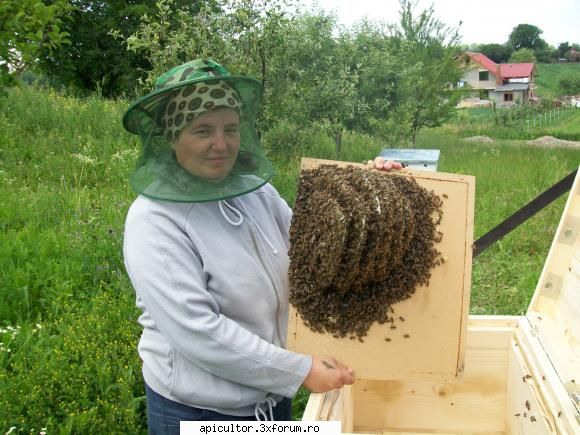 poze rita asa inceput apicultura