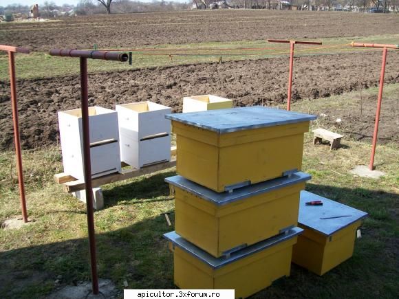 poze crisbee cum sezonul activ apicultura debutat deja, trbuia pornim dreptul